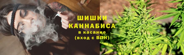 гидра Вяземский
