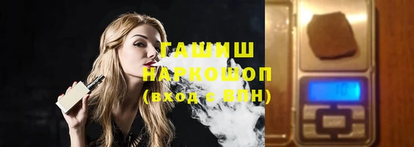 гидра Вяземский