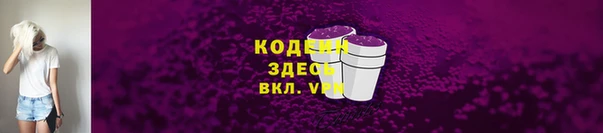 гидра Вяземский