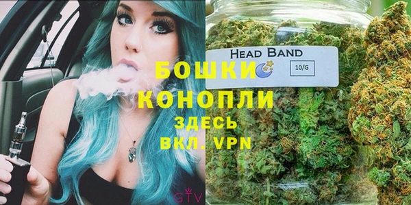 гидра Вяземский
