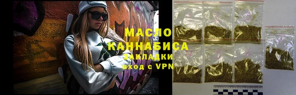 гидра Вяземский