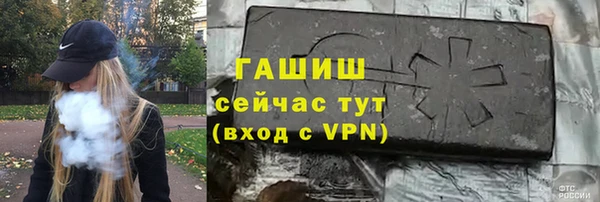 гидра Вяземский