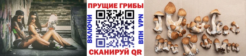 Галлюциногенные грибы ЛСД  shop клад  Нальчик 